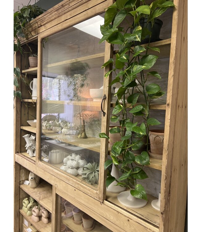 Cabinet - Display natural wood Double Tall Glass Cabinet
