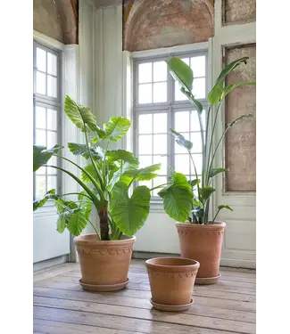 Berg Kobenhavner RAW Rosa 70 cm Pot