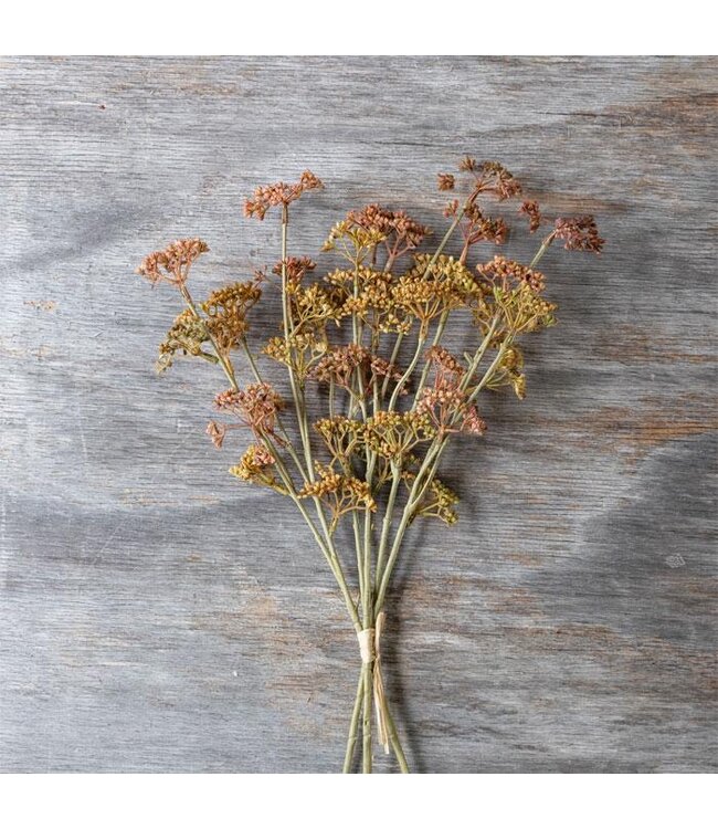 Abigail Ahern MEADOW SEDGE STEM - SUNSET