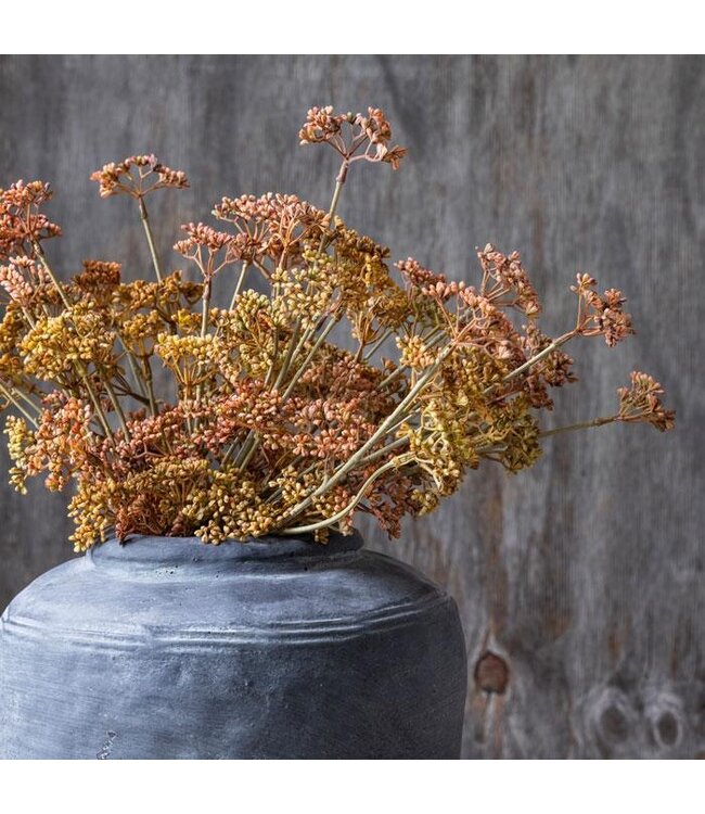 Abigail Ahern MEADOW SEDGE STEM - SUNSET