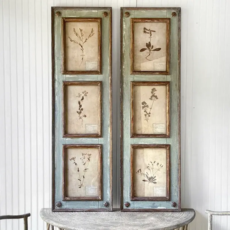 Framed Botanical Collection Panels Set of 2
