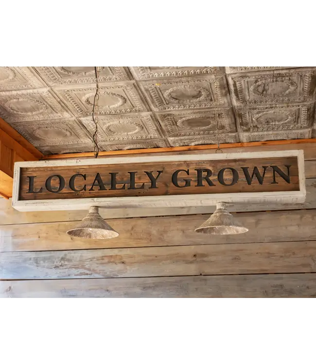 Locally Grown Light Fixture
