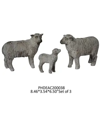 Lamb / Sheep Family Flock, Set of 3