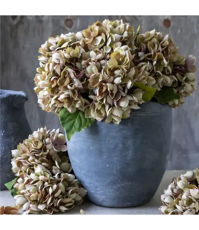Abigail Ahern HYDRANGEA DUSK STEM