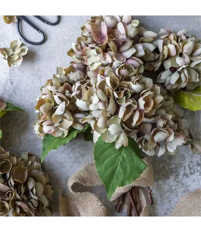 Abigail Ahern HYDRANGEA DUSK STEM