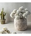 Abigail Ahern ALLIUM CREAM BUNCH