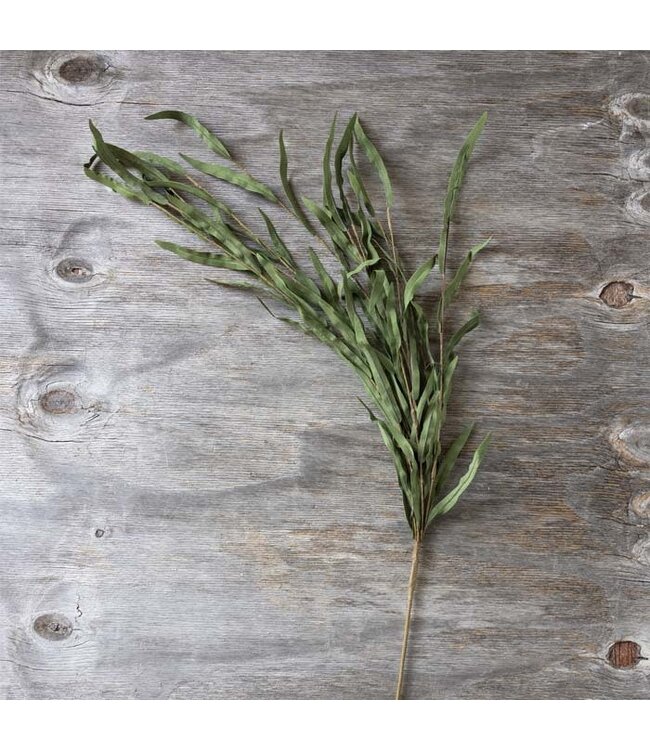 Abigail Ahern WILLOW BRANCH STEM - JADE