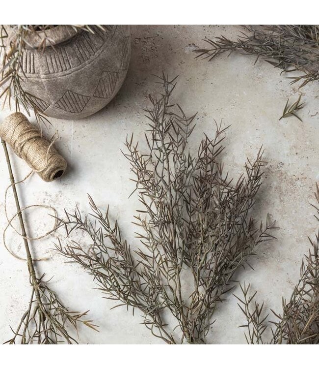 Abigail Ahern HONEY BRACELET RUST STEM