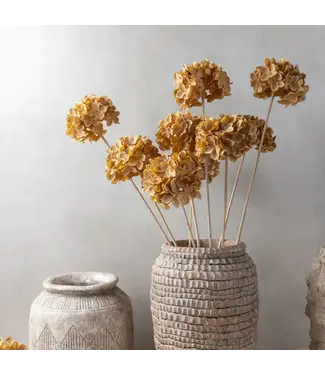 Abigail Ahern HYDRANGEA WALNUT STEM