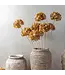 Abigail Ahern HYDRANGEA WALNUT STEM