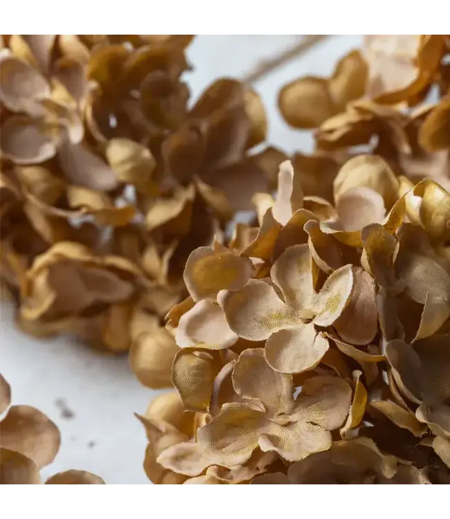 Abigail Ahern HYDRANGEA WALNUT STEM