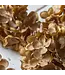 Abigail Ahern HYDRANGEA WALNUT STEM