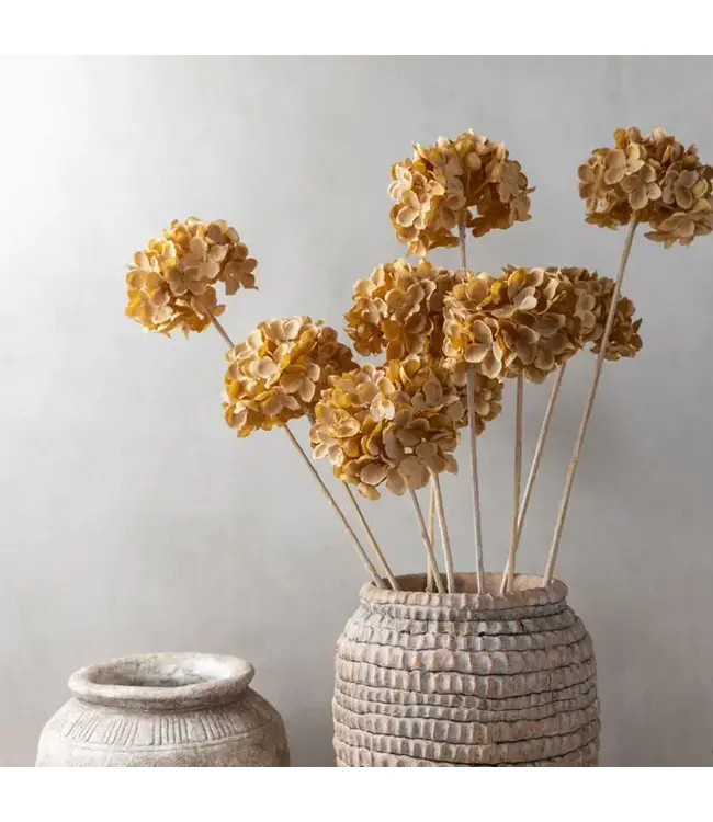 Abigail Ahern HYDRANGEA WALNUT STEM