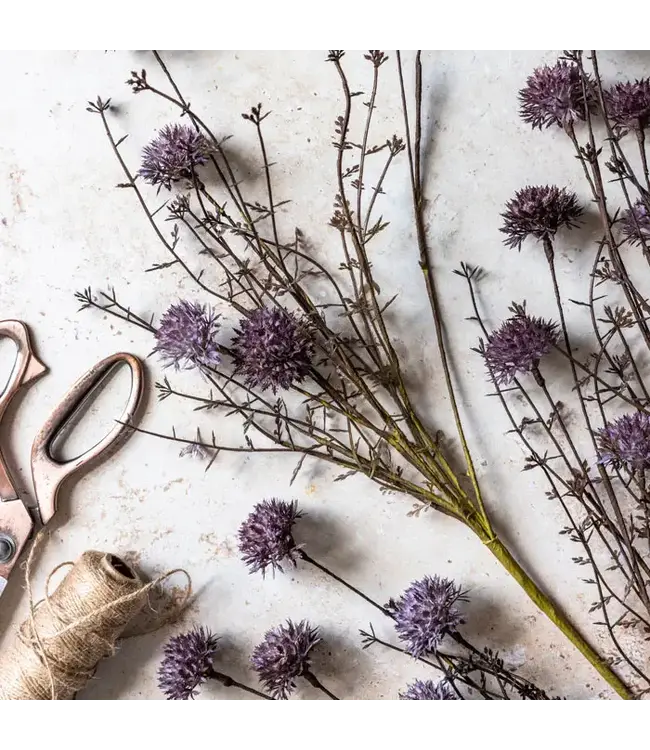 Abigail Ahern MELALEUCA PURPLE STEM