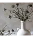 Abigail Ahern MELALEUCA DUSK STEM