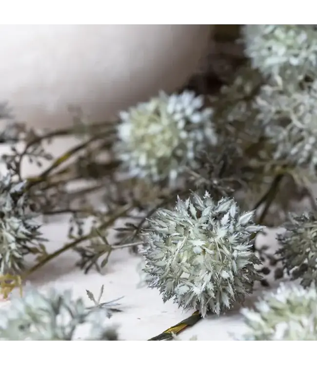 Abigail Ahern MELALEUCA DUSK STEM