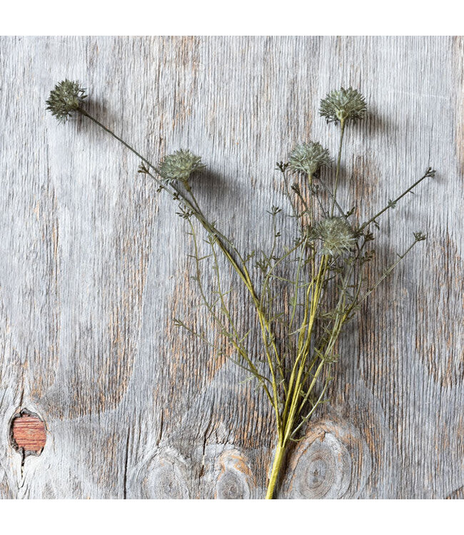 Abigail Ahern MELALEUCA DUSK STEM