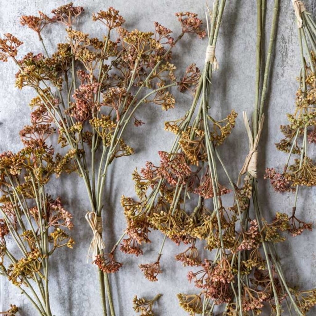 Abigail Ahern MEADOW SEDGE STEM - SUNSET