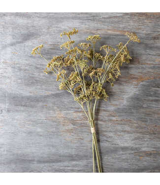 Abigail Ahern MEADOW SEDGE STEM - NATURAL