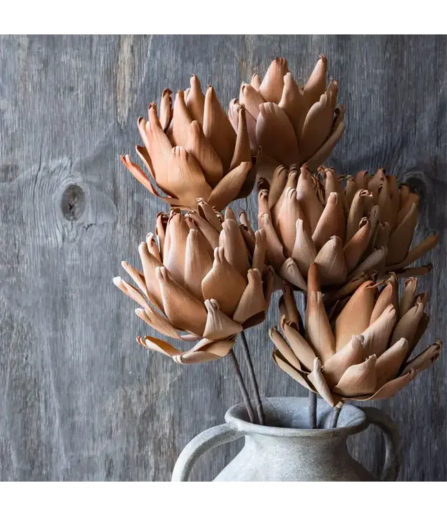 Abigail Ahern LOTUS STEM