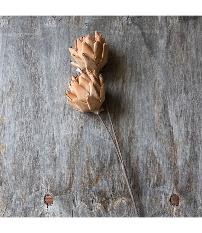 Abigail Ahern LOTUS STEM