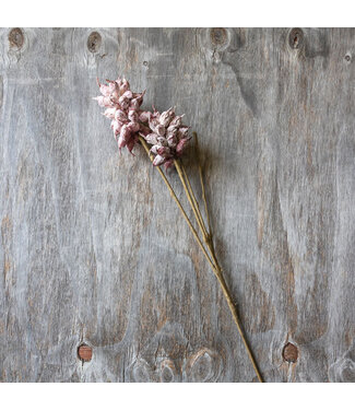 Abigail Ahern HEIRLOOM THISTLE STEM - MAUVE
