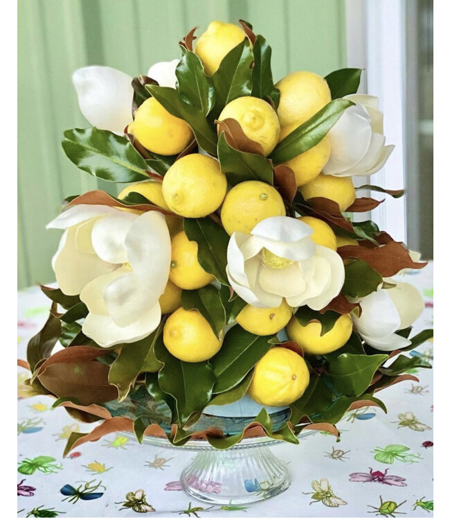 Cotton & Quill Topiary standard 12” tall