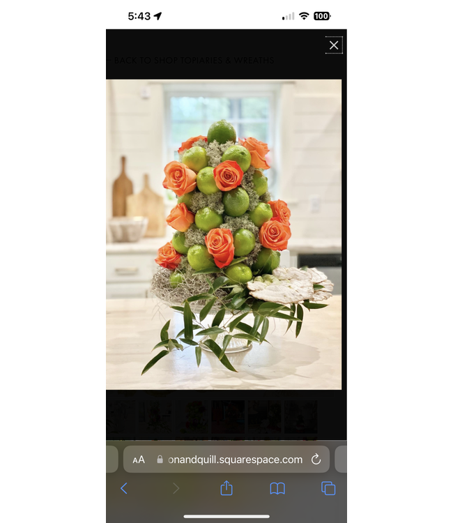 Cotton & Quill Topiary standard 12” tall