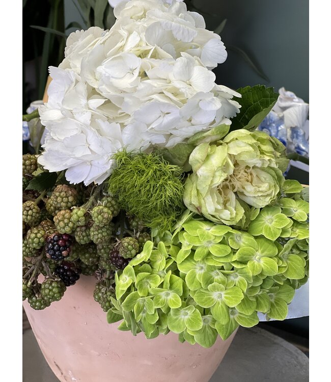 FCS -  Hydrangea Stem