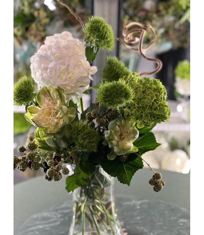 FCS - Hydrangea assorted Mini