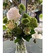 FCS - Hydrangea assorted Mini