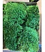 Premium Preserverd Pillow Moss single box
