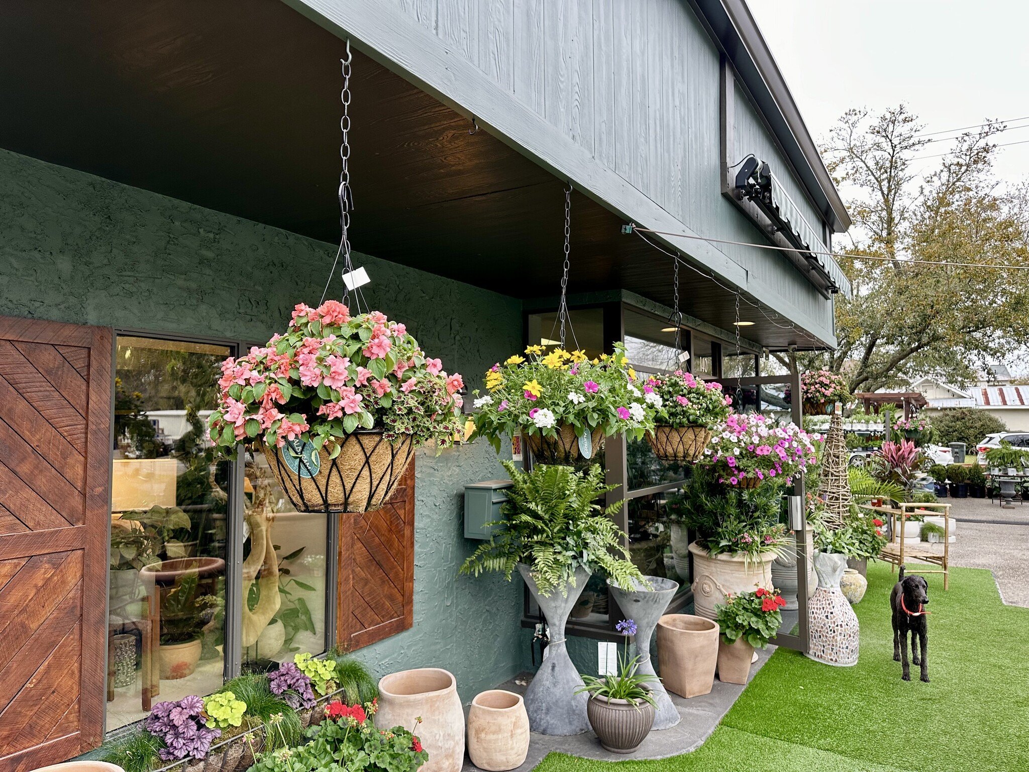 The Plant Shoppe Springs into Action with March 1 Opening