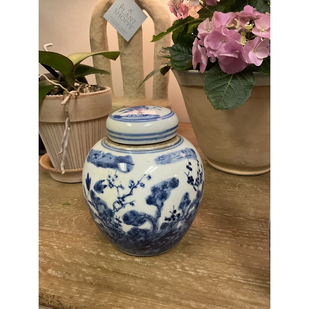 6" Ginger Jar, B/W double happiness
