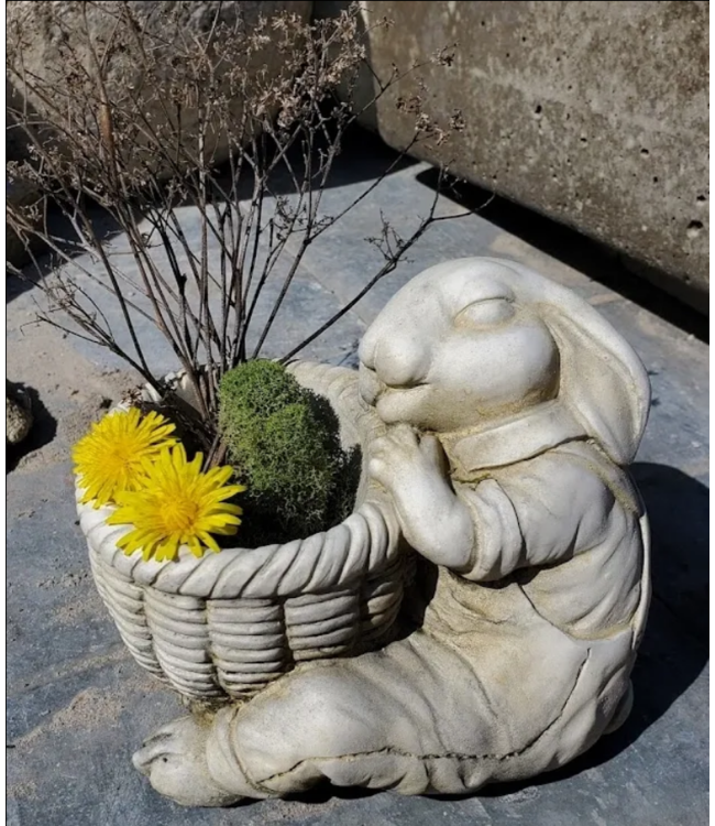 Concrete - Benjamin Bunny