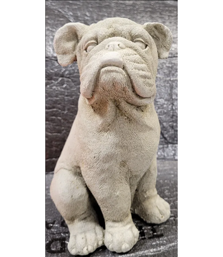Concrete - Bowers the Bulldog