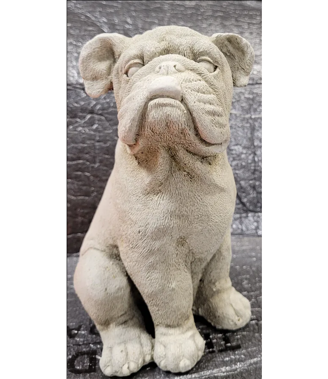 Concrete - Bowers the Bulldog