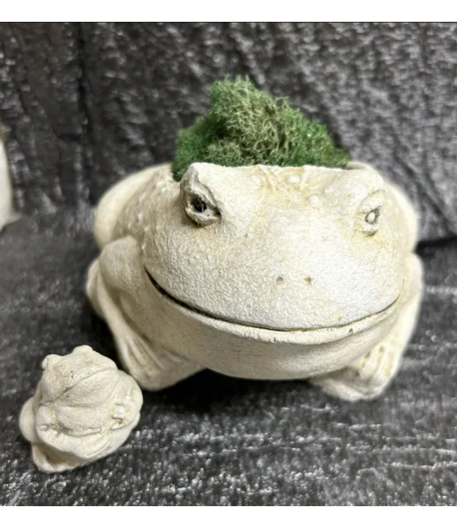 Concrete - Bullfrog Pot