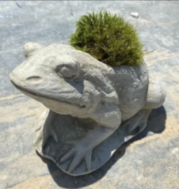 Concrete - Frog Planter