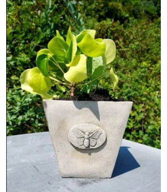 Concrete - Large Butterfly Pot