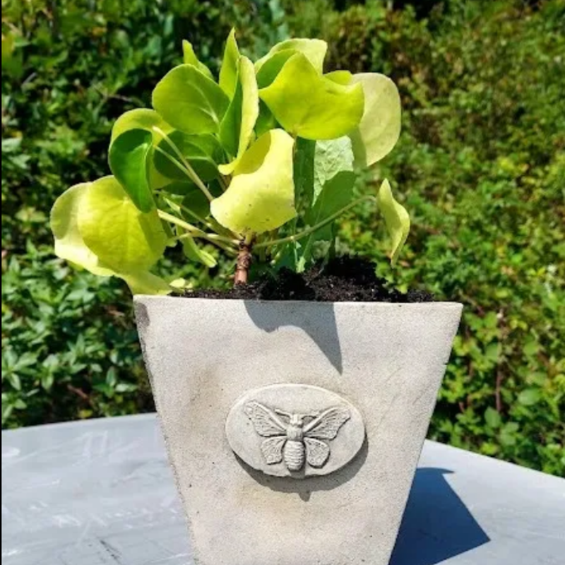 Concrete - Large Butterfly Pot