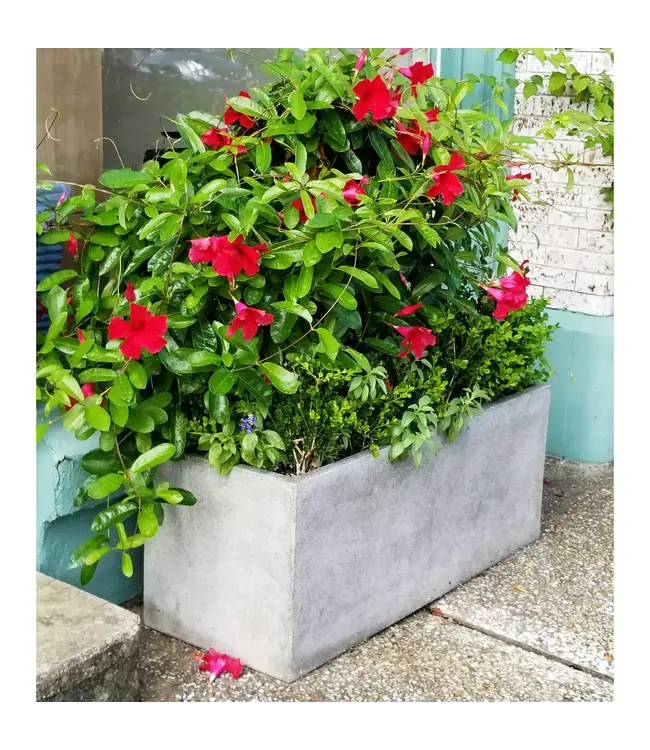 Simple Trough Large~16"H x 40"L x 16" D Riverstone