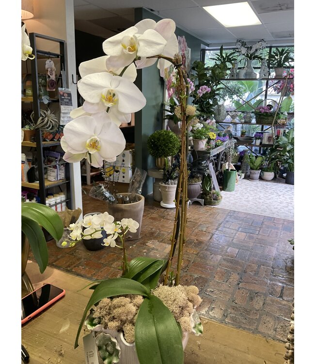 Double White orchid Original Ceramic Bowl With Green Flowers 17"