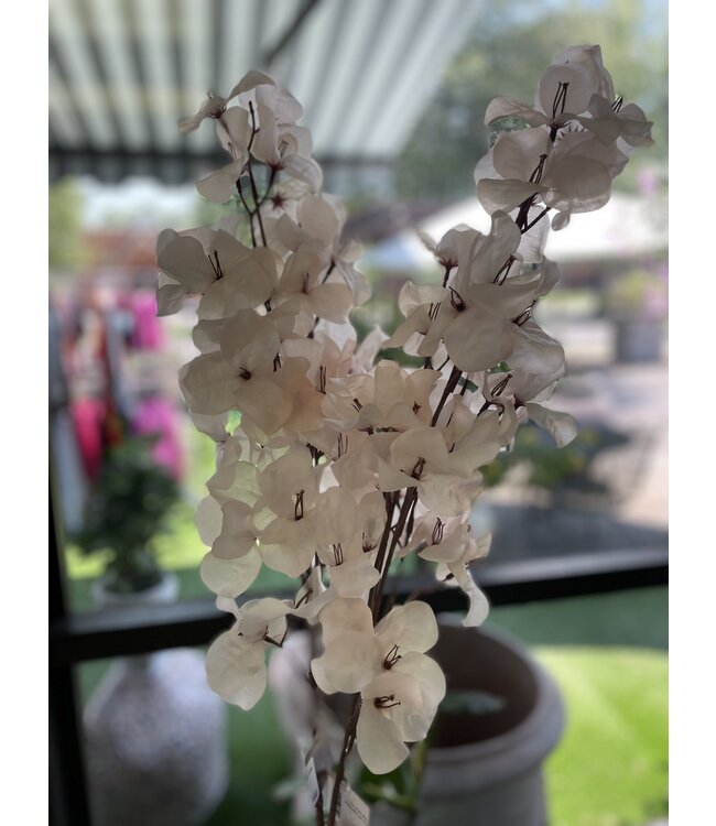 Abigail Ahern BOUGAINVILLEA BLUSH STEM