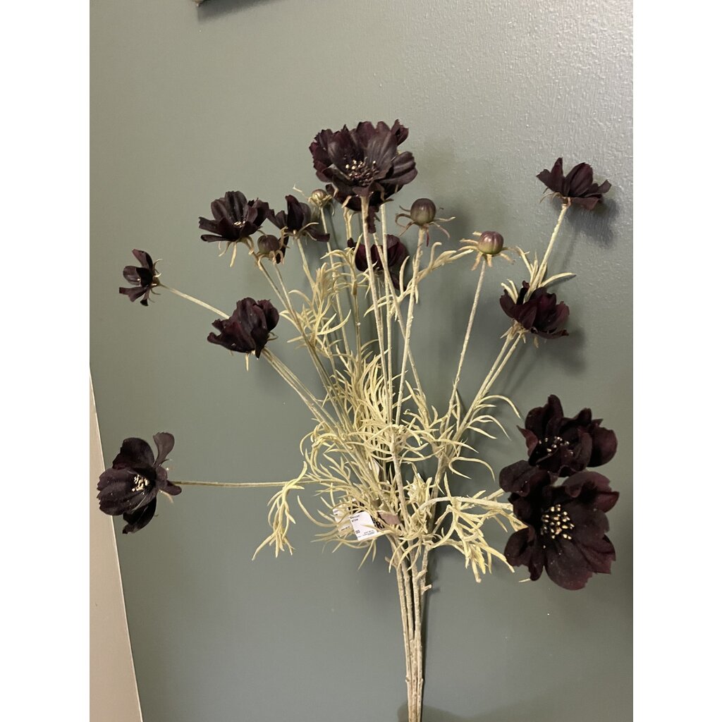 Abigail Ahern COSMOS STEM