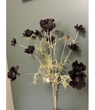 Abigail Ahern COSMOS STEM