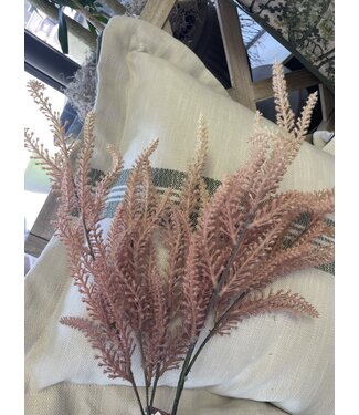 Abigail Ahern FOXTAIL STEM