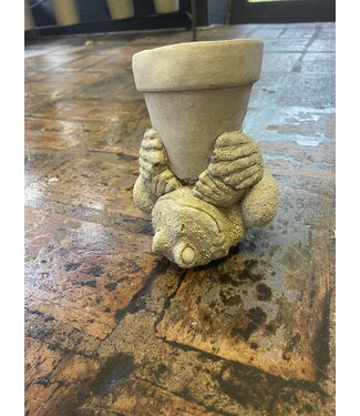 Concrete - Stan Frog Pot