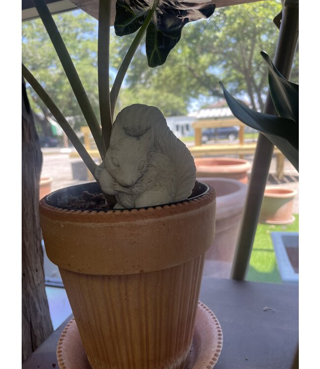 Concrete - Staked Squirrel