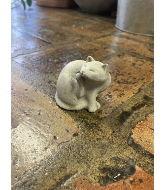Concrete - Scratching Cat
